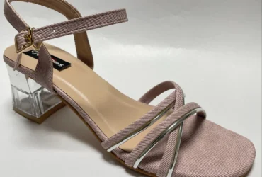 Fancy Women Footwear