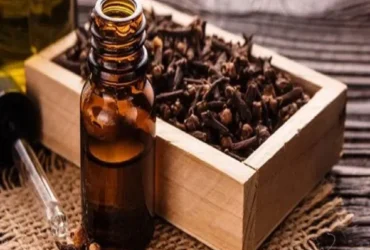 Pump Sprayer Unisex 20 Ml Pocket Perfume