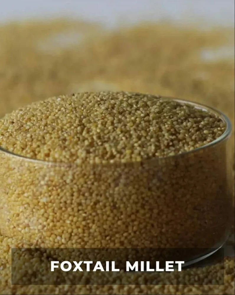 Brown Foxtail Millet Rice, Whole Grains, High in Protein